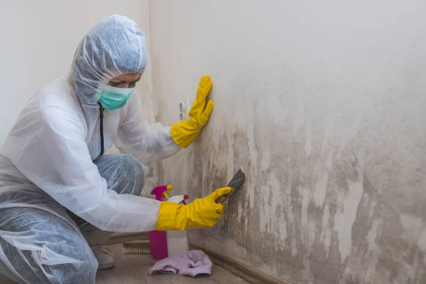 Logan, OH Mold Remediation Company