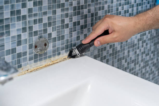 Best Bathroom Mold Remediation in Logan, OH