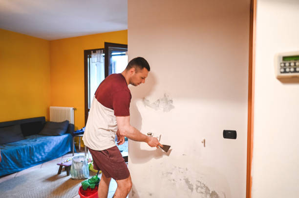 Best Basement Mold Remediation in Logan, OH